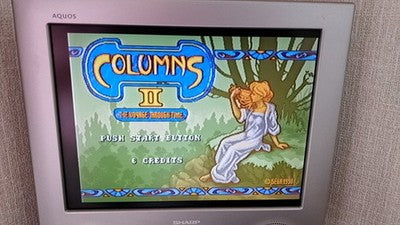 Sega Columns II Voyage Through Time JAMMA Arcade PCB Board Working Japan Import