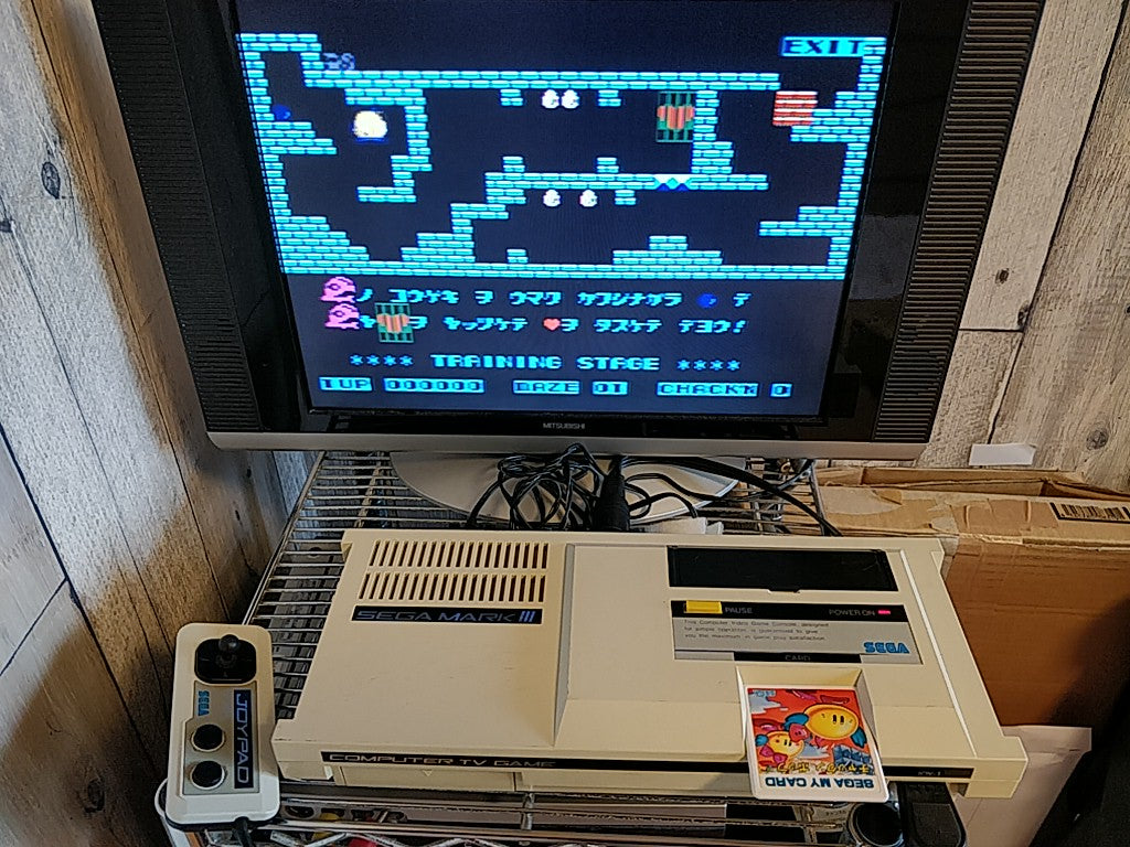 Chack'n Pop; Sega Mark 3,SG/SC series Game Card and Manual set, tested-e0714-4