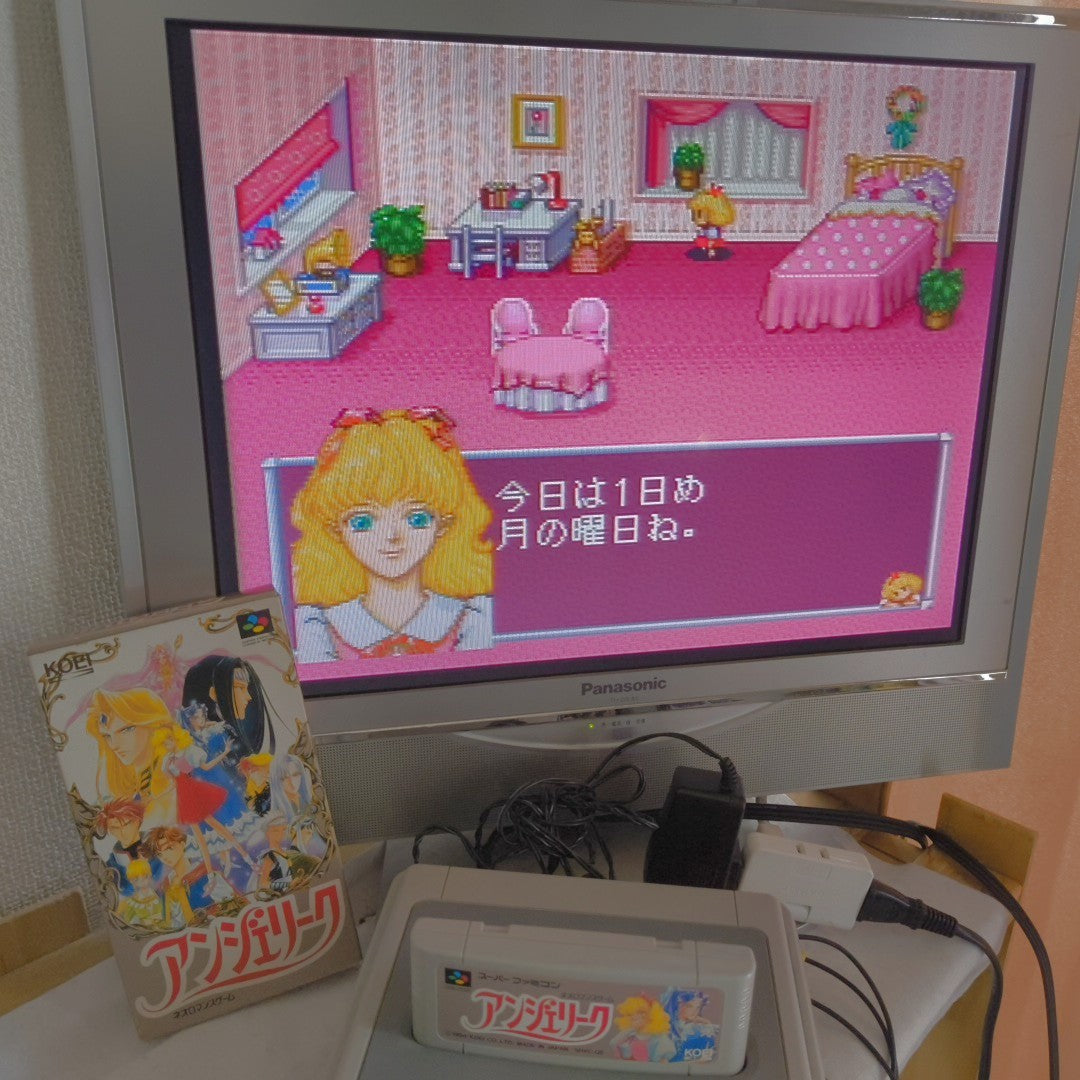 Pro Student -G- FM Towns Marty PC Game AliceSoft Complete Set w/ Extras Japan