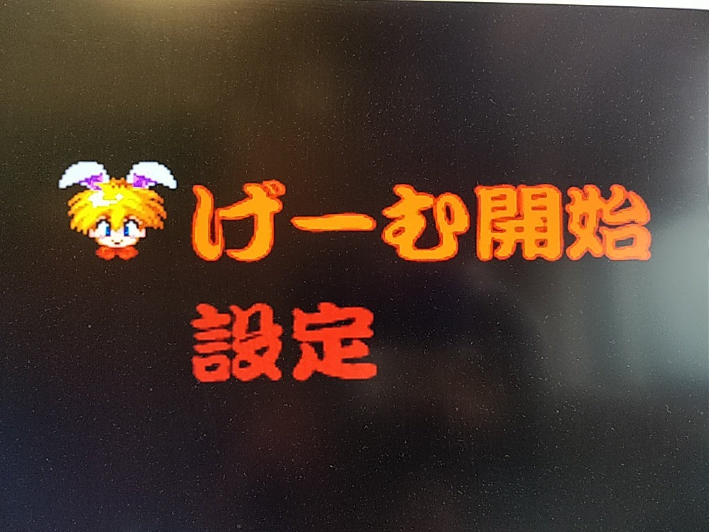 Sega Mega CD Keio Yuugekitai Flying Squadron Japan Shmup Complete Tested Working
