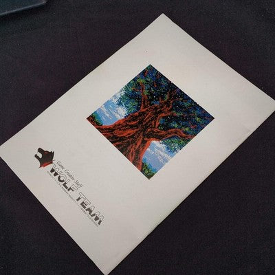 PC-8801 Wolf Team ARCUS, 5-inch FDD w/ Manual, Box set, Working, Japan