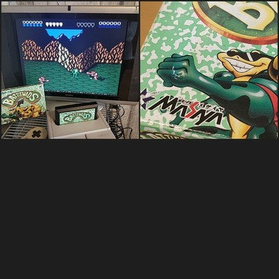 Battletoads Famicom NES Natsume Cartridge Manual Complete Boxed Japan Working