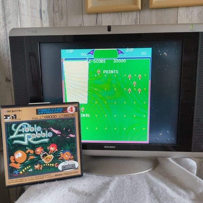 Libble Rabble SHARP X68000 Game disks w/ Manual, Pad, and Box, Working, Japan