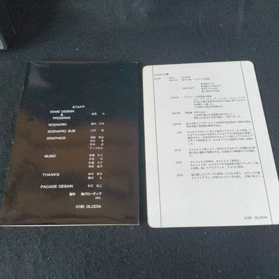 Vain Dream PC-8801 Glodia Complete CIB 5.25 Floppy Working Japan Rare Vintage