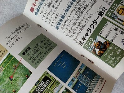 Gain Ground SX NEC PC Engine Super CD-ROM2 Japan Disc Spine Card Case Working