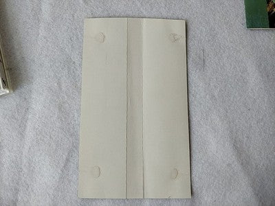 Gain Ground SX NEC PC Engine Super CD-ROM2 Japan Disc Spine Card Case Working