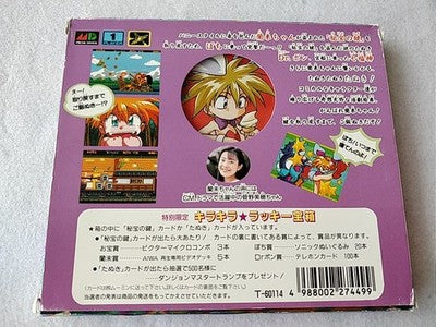 Keio Yugekitai Keio Flying Squadron SEGA Mega CD Japan Disc Manual Boxed Working