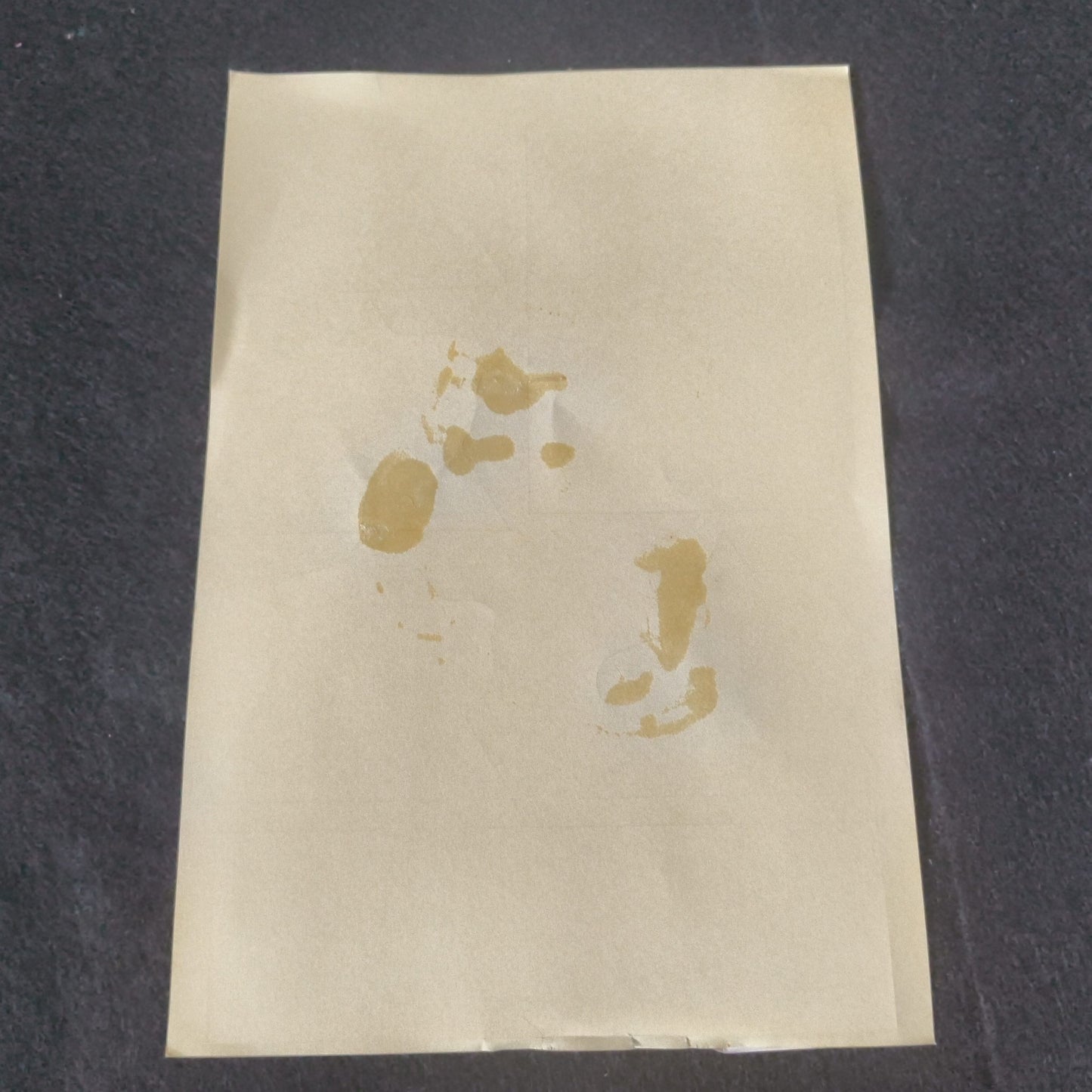 PC-8801 Shiryou Sensen - War of the Dead: Browning no Fukkatsu w/Manual, Box set