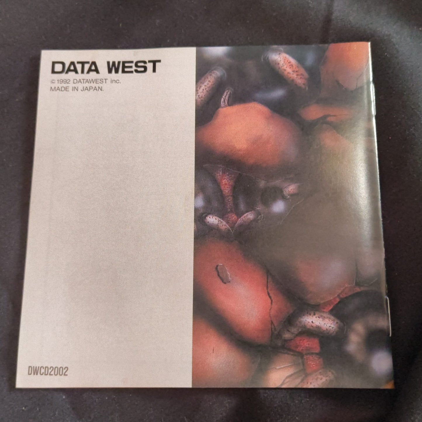 Rayxanber 3 III PC Engine CD-ROM2 PCE Game Disk, W/Manual, Case, Spine card set