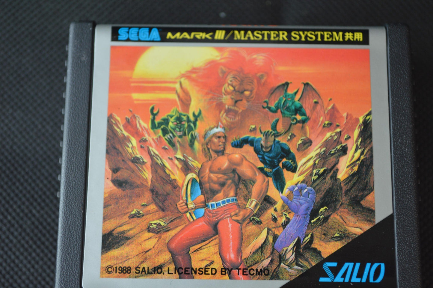 ARGUS CROSS SWORD Rygar SEGA Master system MK-2000/Mark3 Cart and Box -f1001-