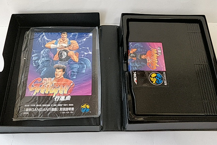 Excellent AGGRESSORS OF DARK KOMBAT Tsukai Gan Gan Koshinkyoku AES Boxed-a1207- - Hakushin Retro Game shop