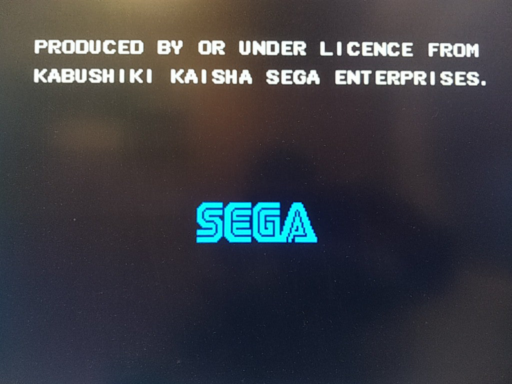 THE NINJA WARRIORS MEGA CD Game Disk,MAnual,Spine card, Boxed tested -c1023- - Hakushin Retro Game shop