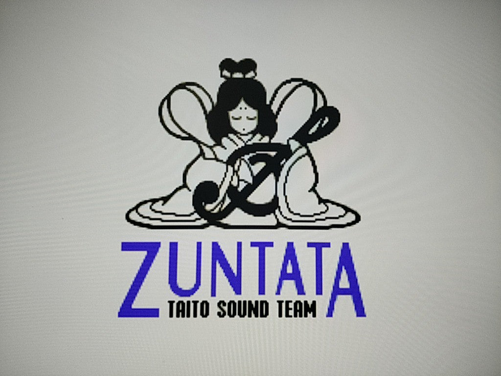 THE NINJA WARRIORS MEGA CD Game Disk,MAnual,Spine card, Boxed tested -c1023- - Hakushin Retro Game shop