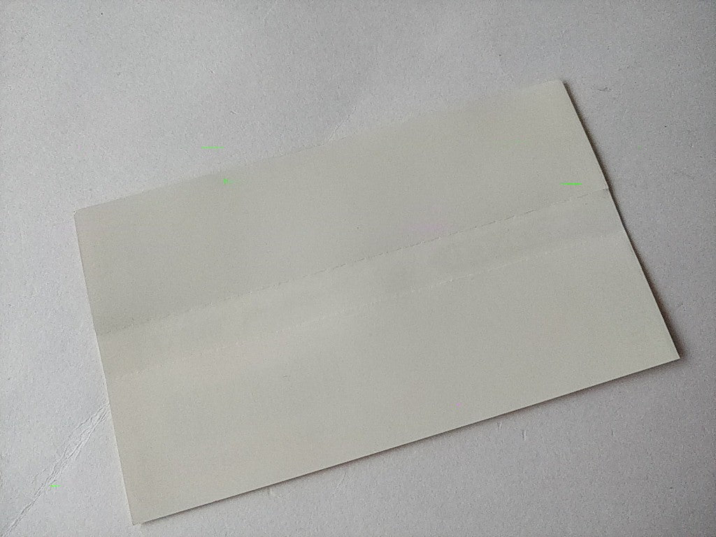 THE NINJA WARRIORS MEGA CD Game Disk,MAnual,Spine card, Boxed tested -c1023- - Hakushin Retro Game shop