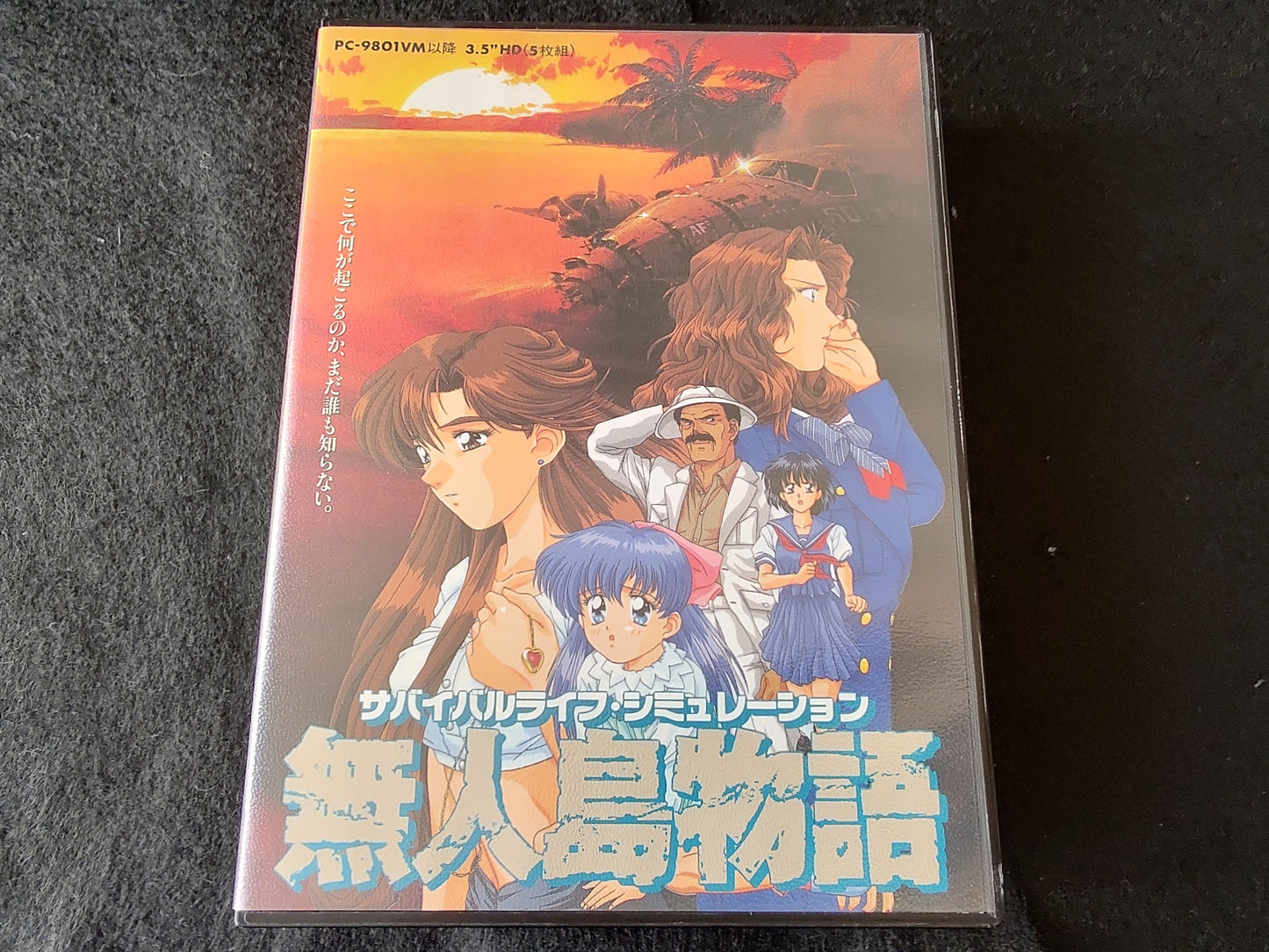 PC-9801 PC98 Mujintou Monogatari KSS w/Manual, map, box set, working -f1022-