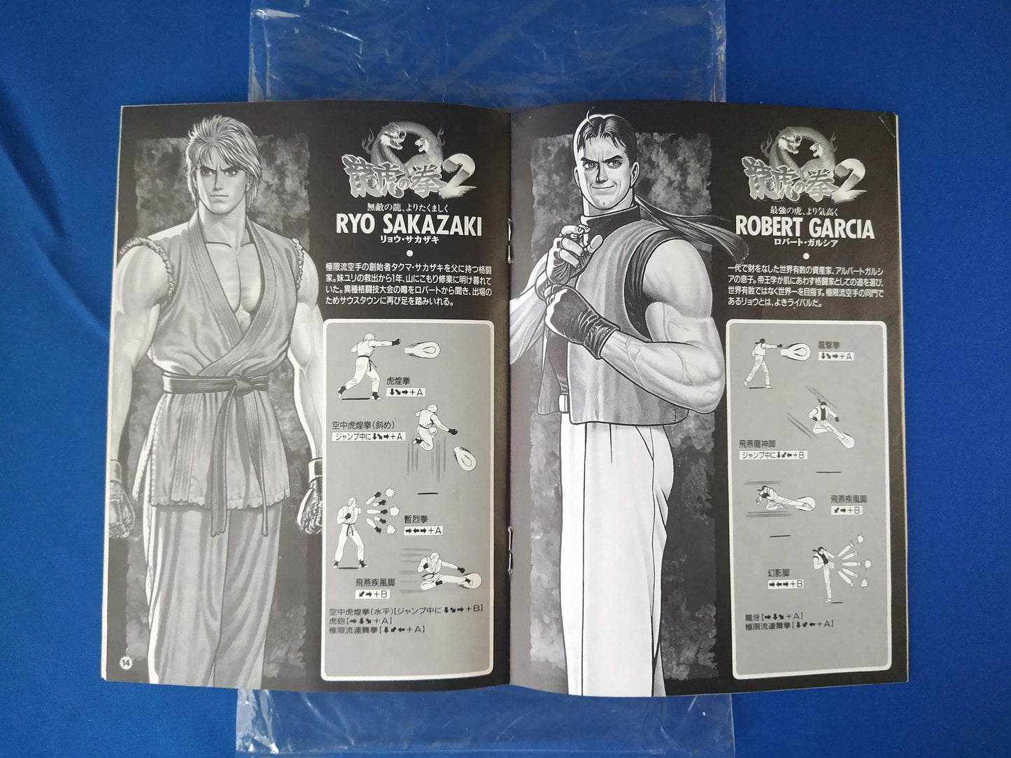 RYUKO NO KEN 2 ART OF FIGHTING 2 SNK NEO GEO AES w/Manual, Box, Working-f0507-