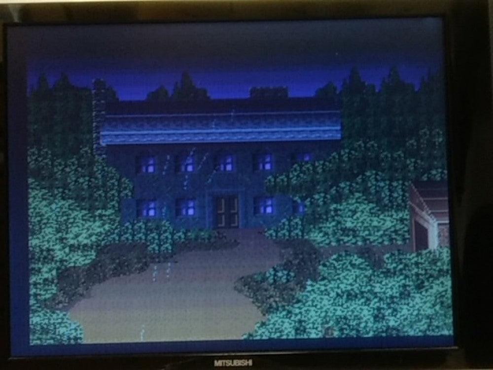 PCE WORKS Ver. SPLATTER HOUSE FM TOWNS / MARTY Beat 'em up Game, tested-e0221-